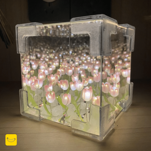 باکس آینه ای دشت لاله بینهایت