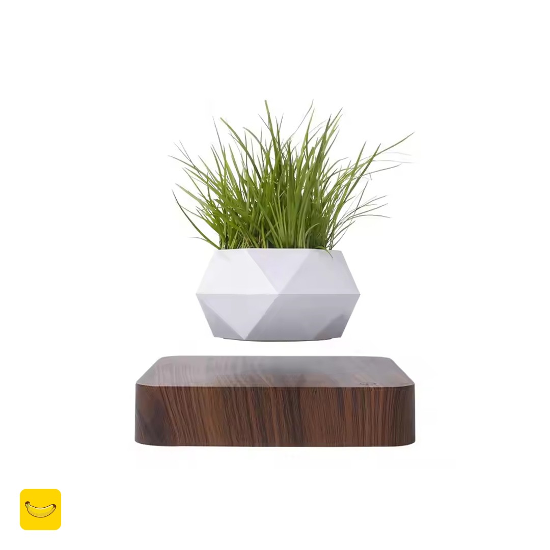 گلدان-معلق-پایه-مربع-مناسب-گیاهان-هوازی-01 گلدان معلق پایه مربع مناسب گیاهان هوازی