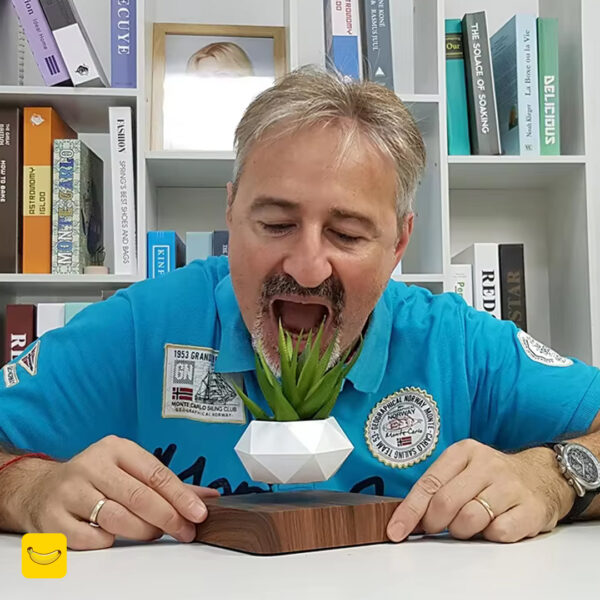 گلدان معلق پایه مربع مناسب گیاهان هوازی